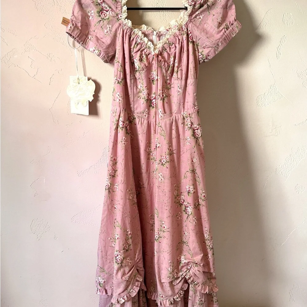 Lacemade Romantic Pink Floral Rosa Rubus Story Corset Dress - Picture 3 of 8